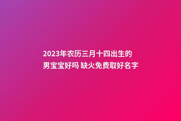 2023年农历三月十四出生的男宝宝好吗 缺火免费取好名字